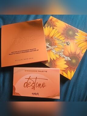 Makeup Palettes Bundle